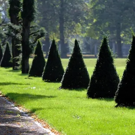 Schloss Отель 4*